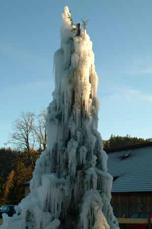 217 Eisbaum, Rohr im Gebirge